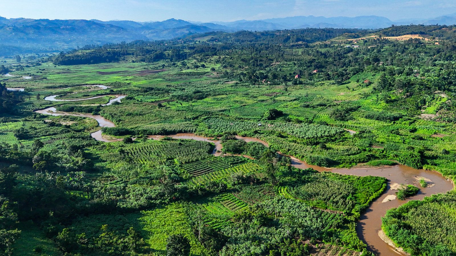 a breath-taking view of the landscapes ITF is restoring in the foothills of the Rwenzori Mountains