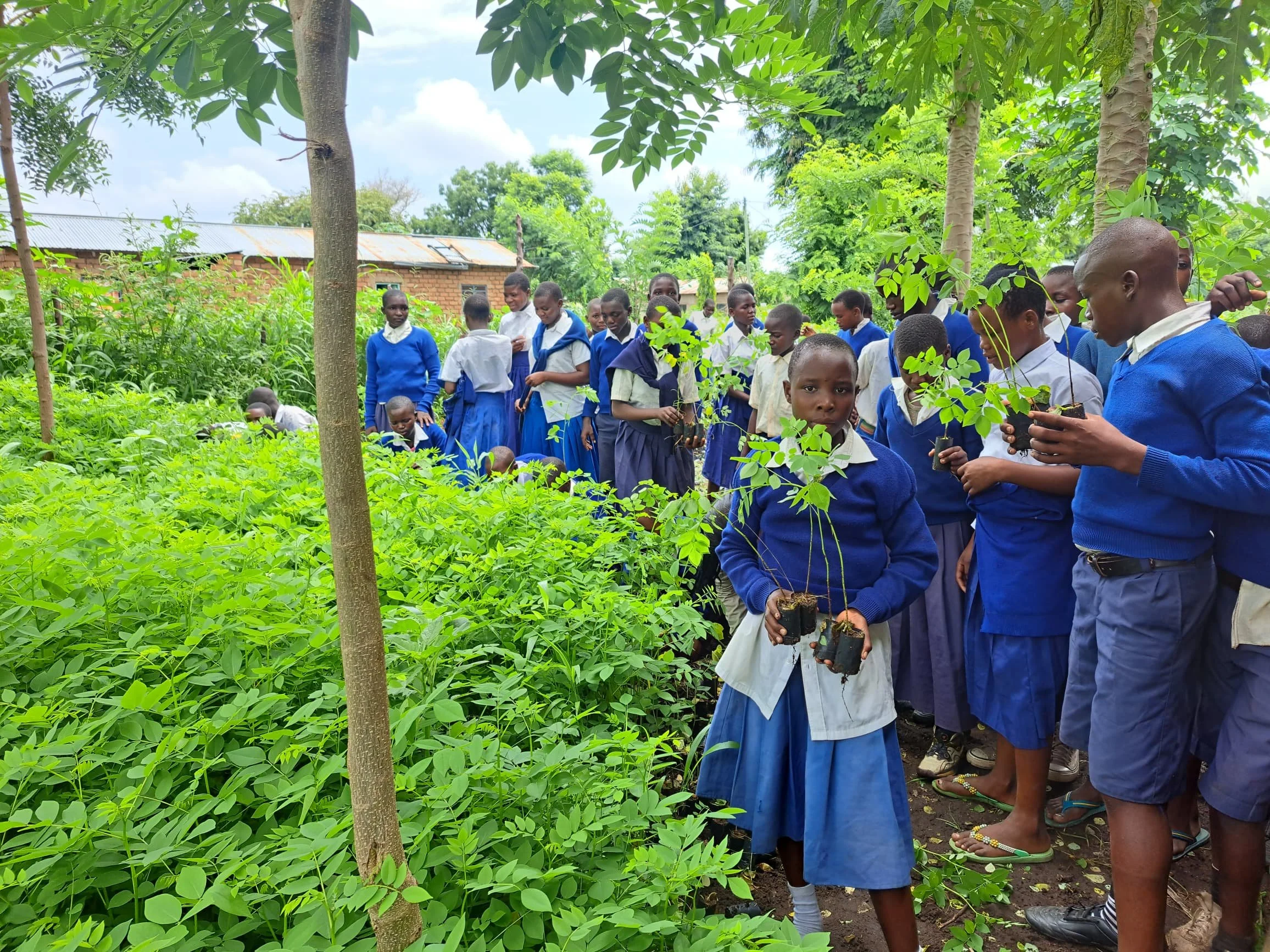 Children in blue school uniforms get ready to plant tree in Tanzania