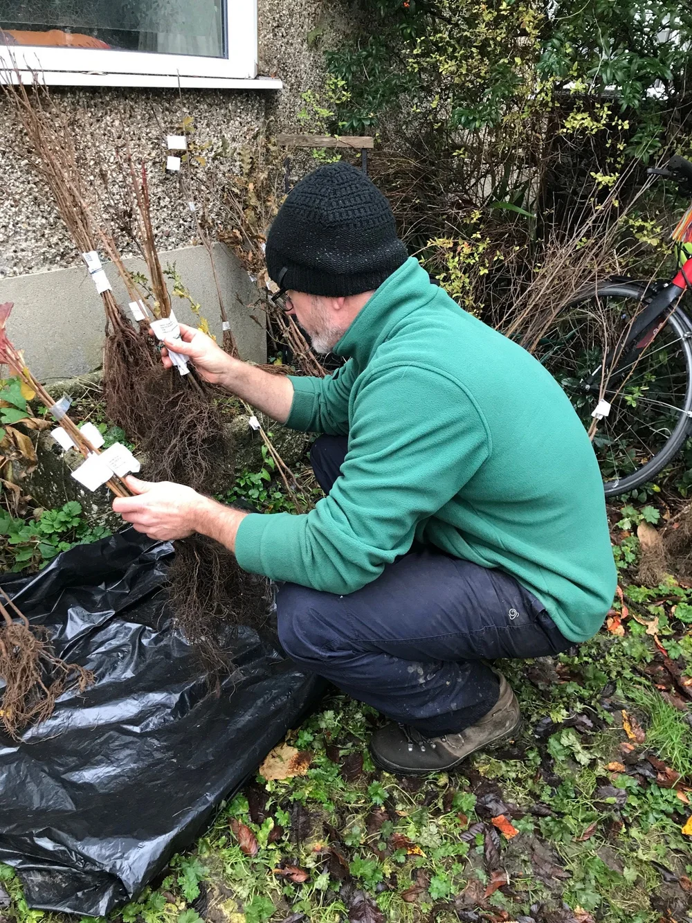 Garden tree giveaway — International Tree Foundation