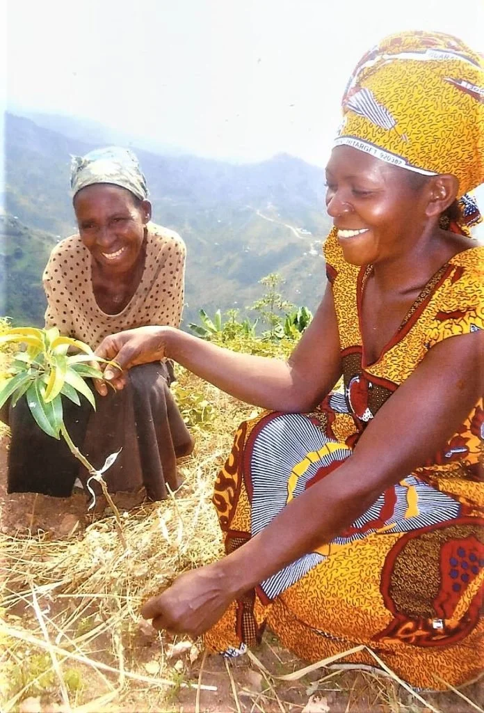 Grafting mangoes for self-sufficiency and environmental sustainability ...