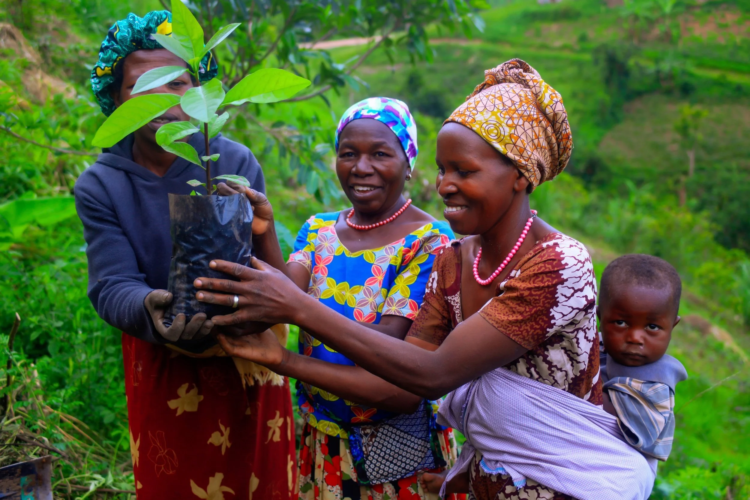 3 women, one with a baby on her back plant a tree together to restore degraded Ugandan landscapes