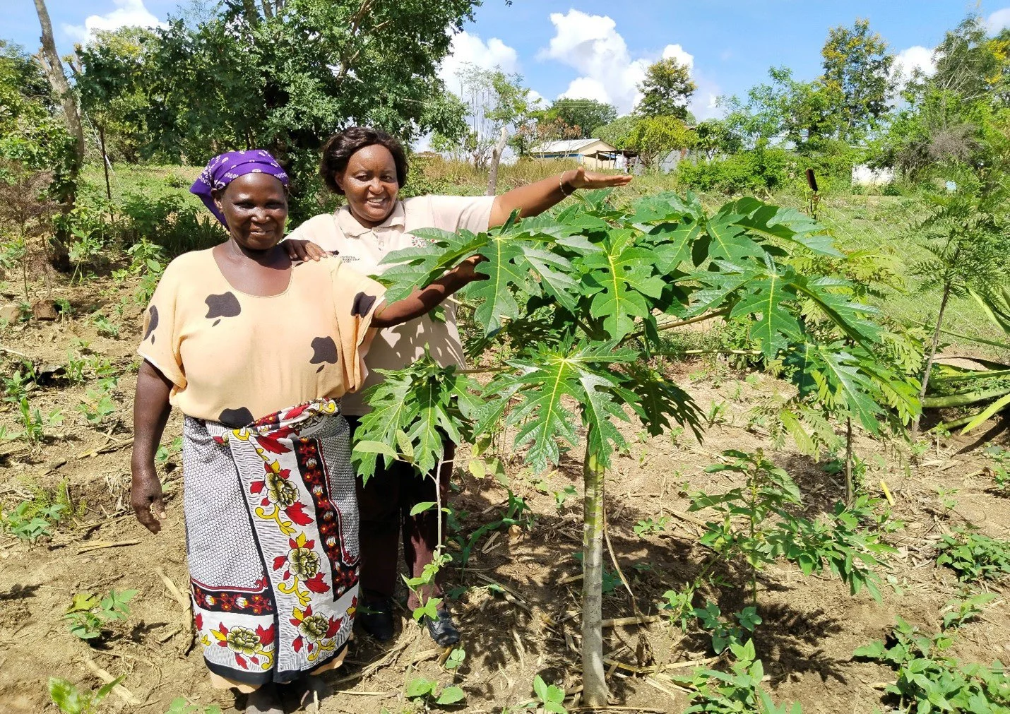 Our mission to replenish Kitui County — International Tree Foundation