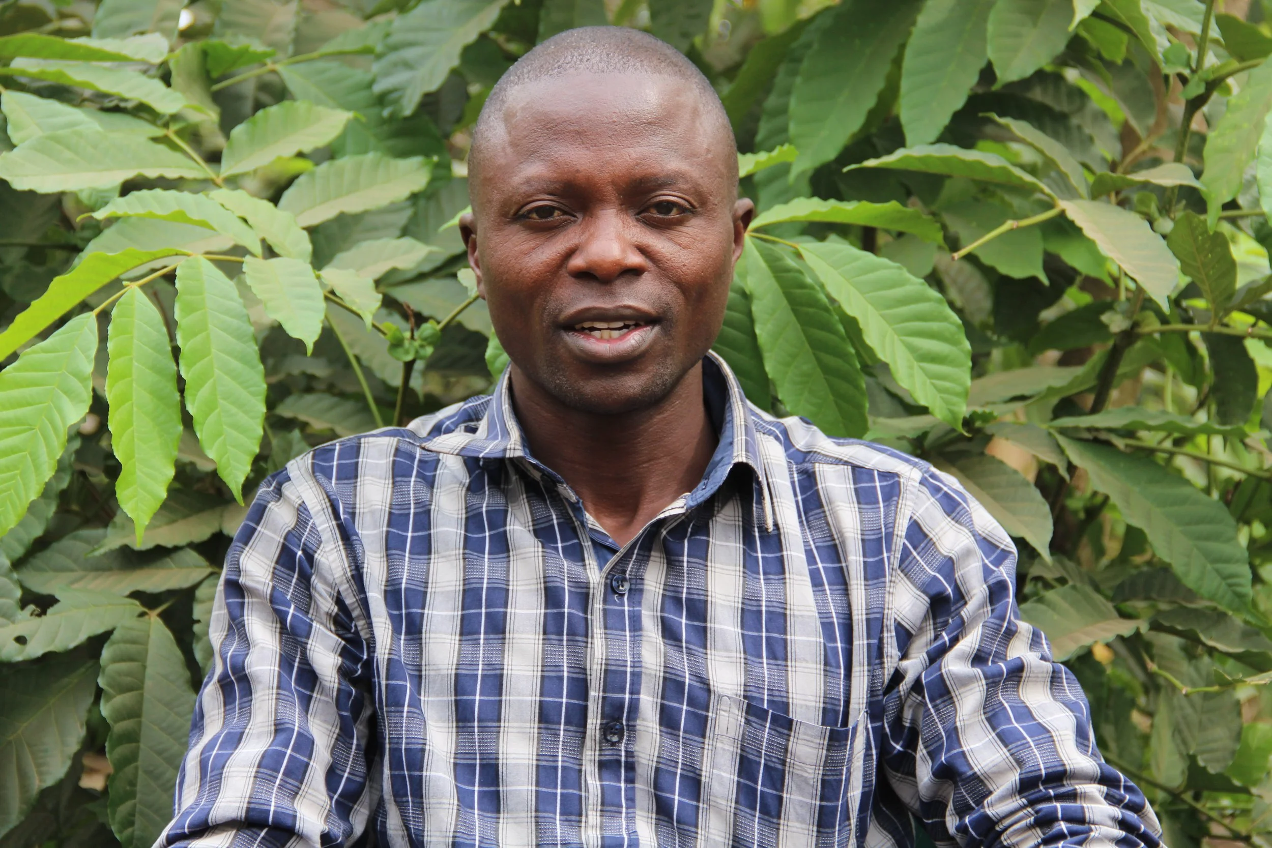 Our strategy — International Tree Foundation