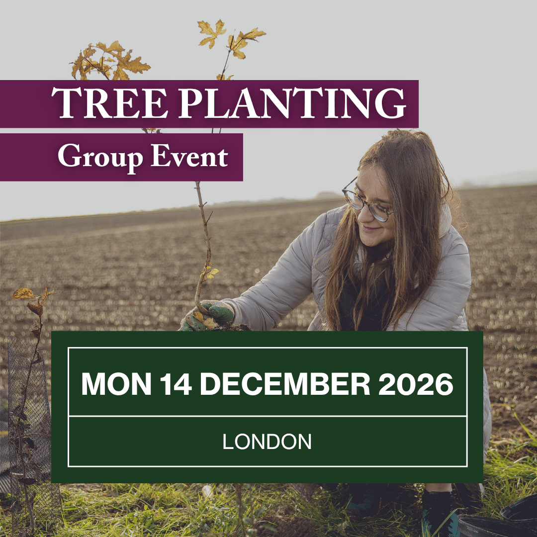 Join a Group Tree Planting session on Mon 14 December 2026.png