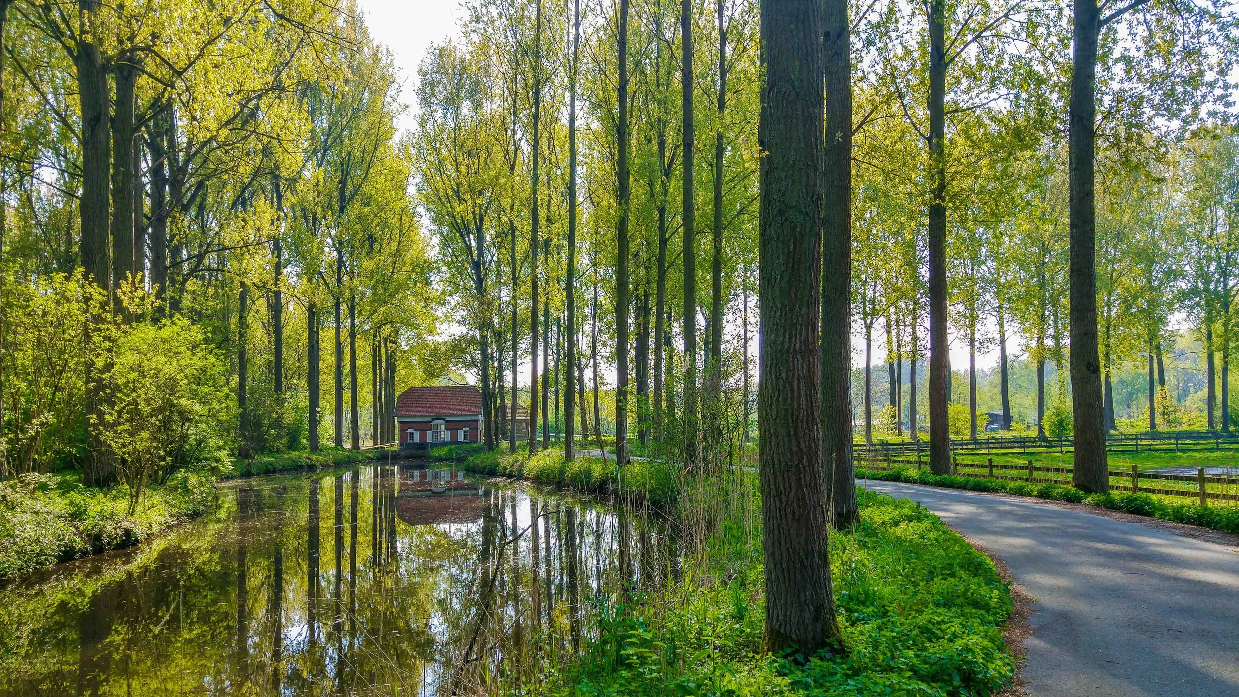 Als ik traag loop, loop ik verder