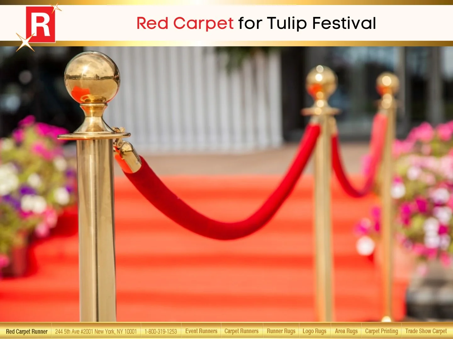 Red Carpet for Tulip Festival