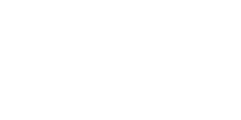 Lina Maxine