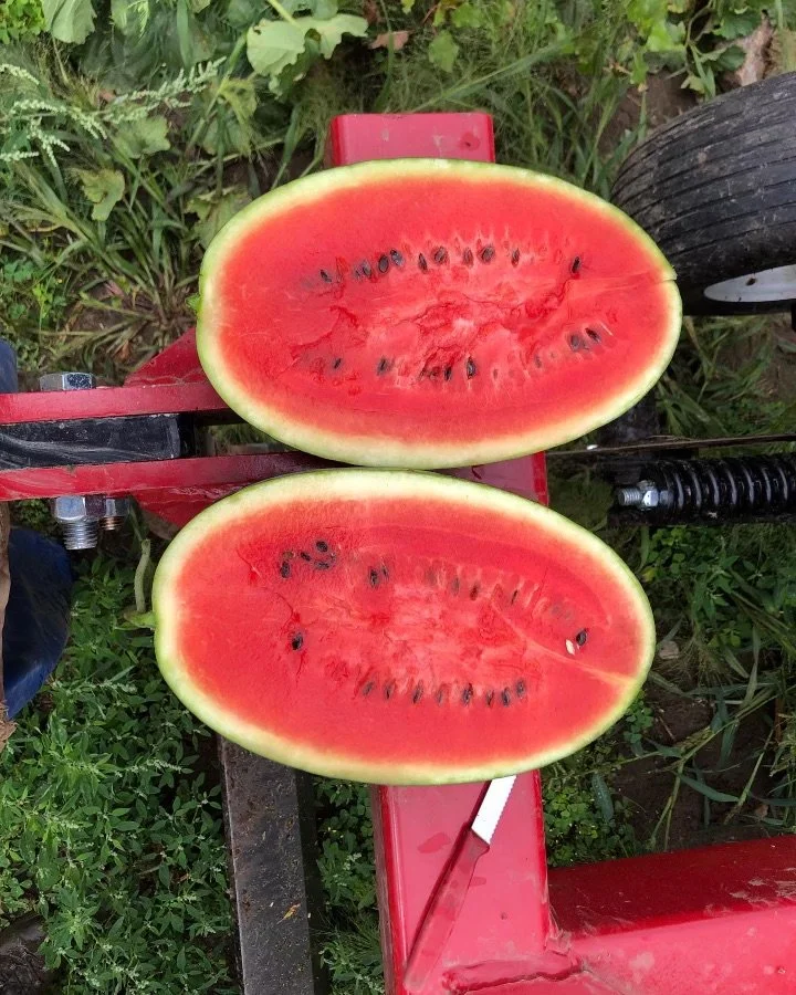 B32DB444-5A96-4654-8679-4B5AFA7E13CD 2.jpeg