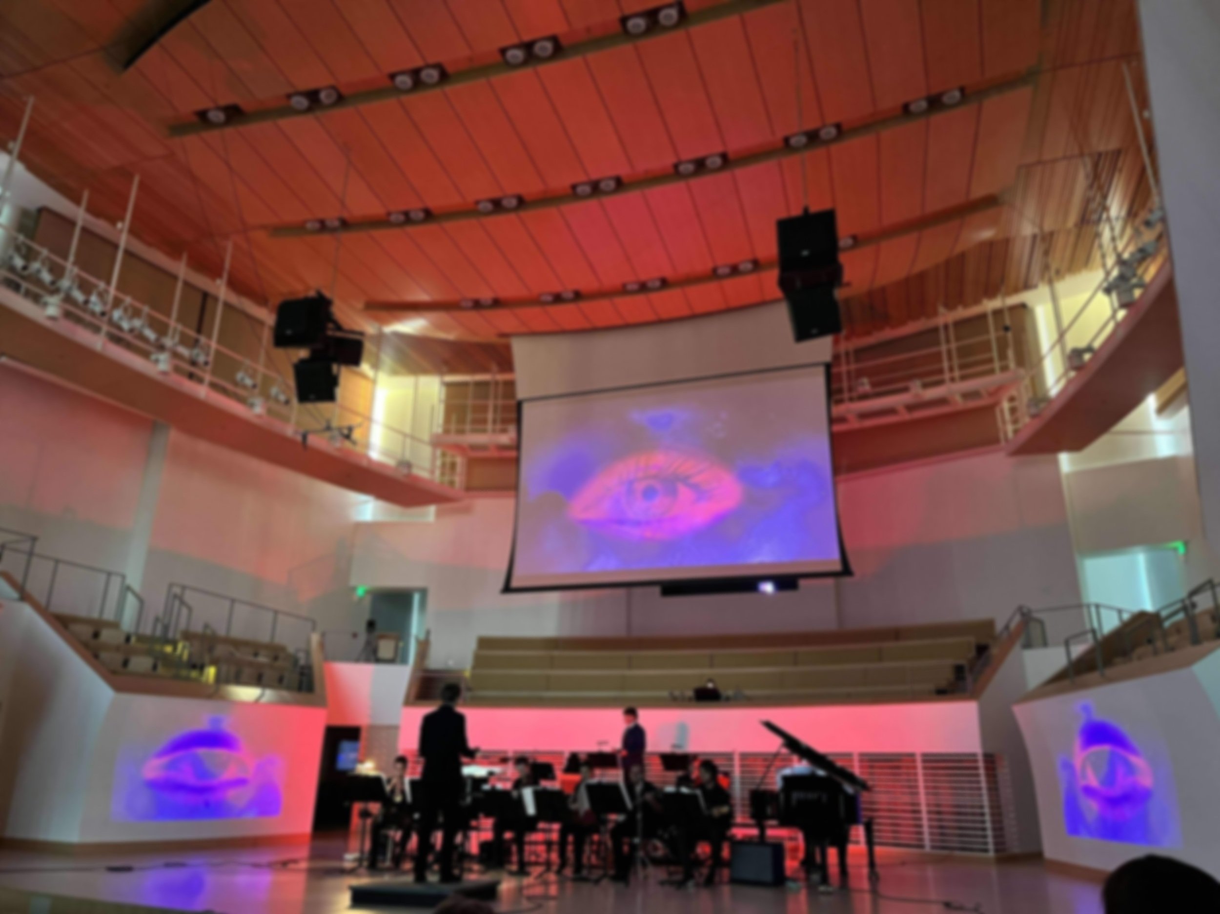 ELECTROACOUSTIC