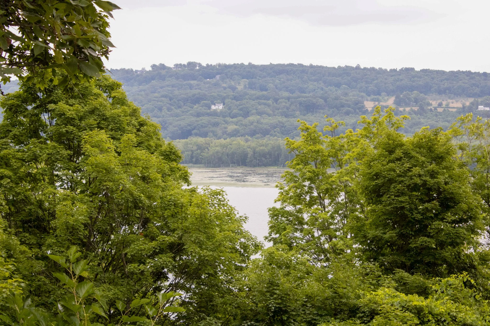 Catwalk Artist Residency 2024