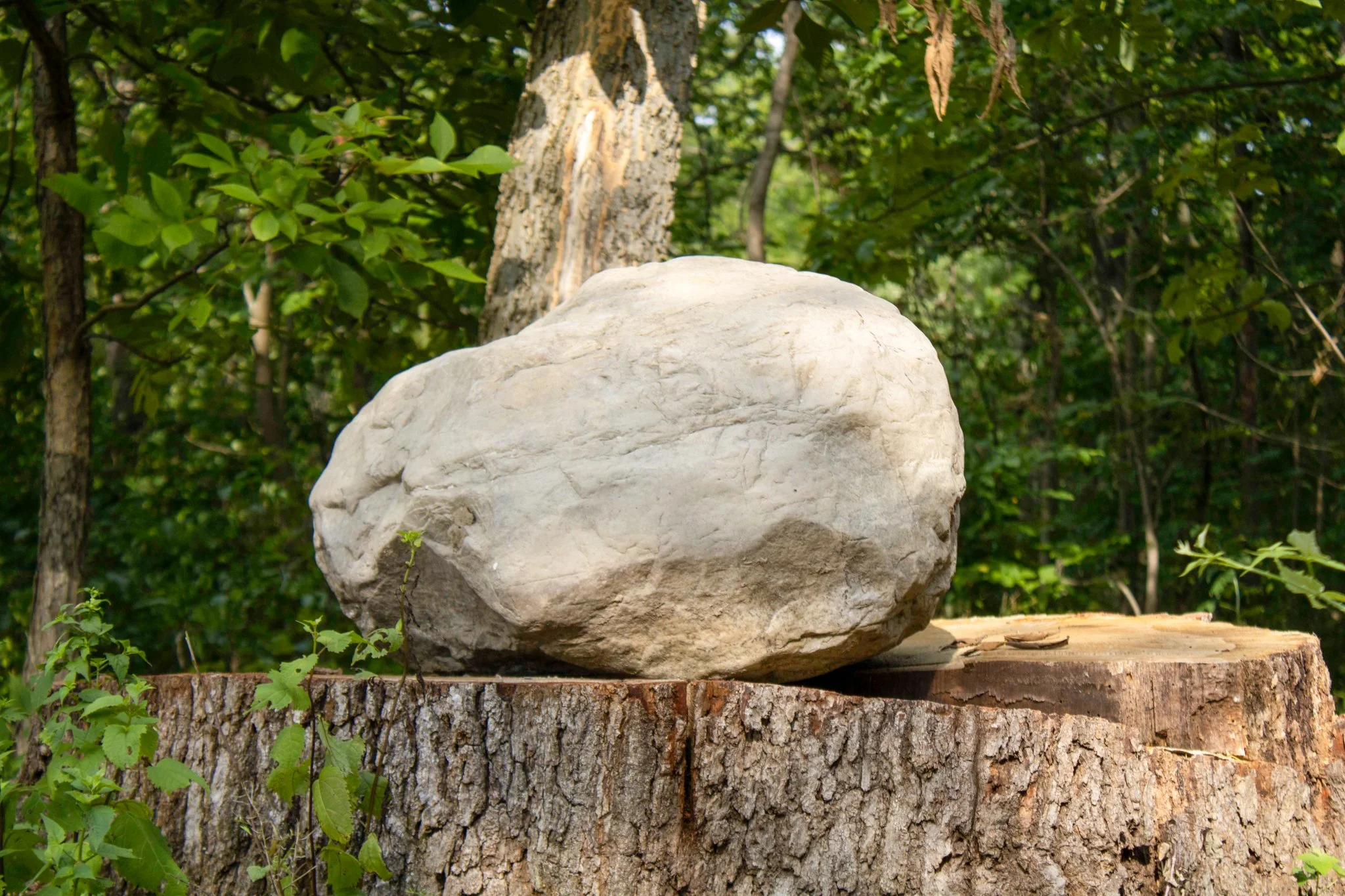 Catwalk Artist Residency 2024