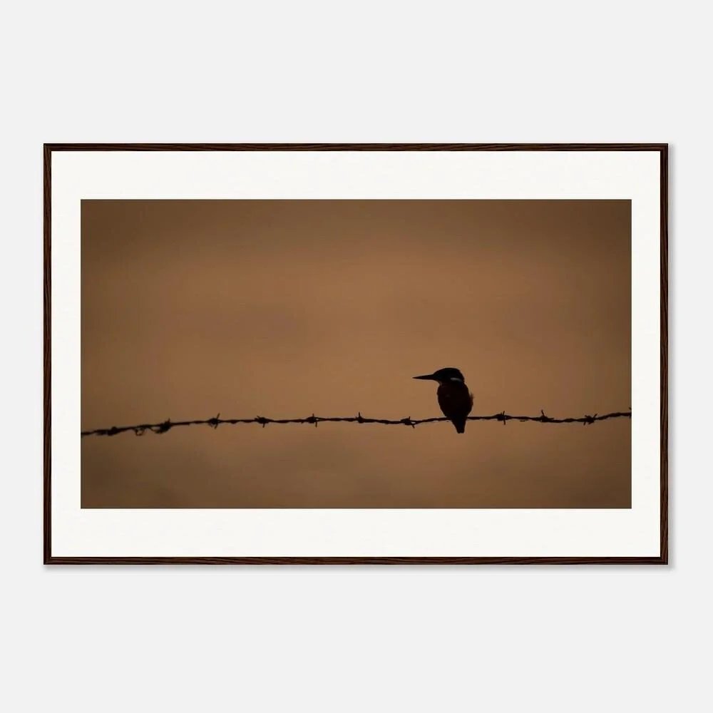 Silhouette of a bird sitting on barbed wire against a brownish background.