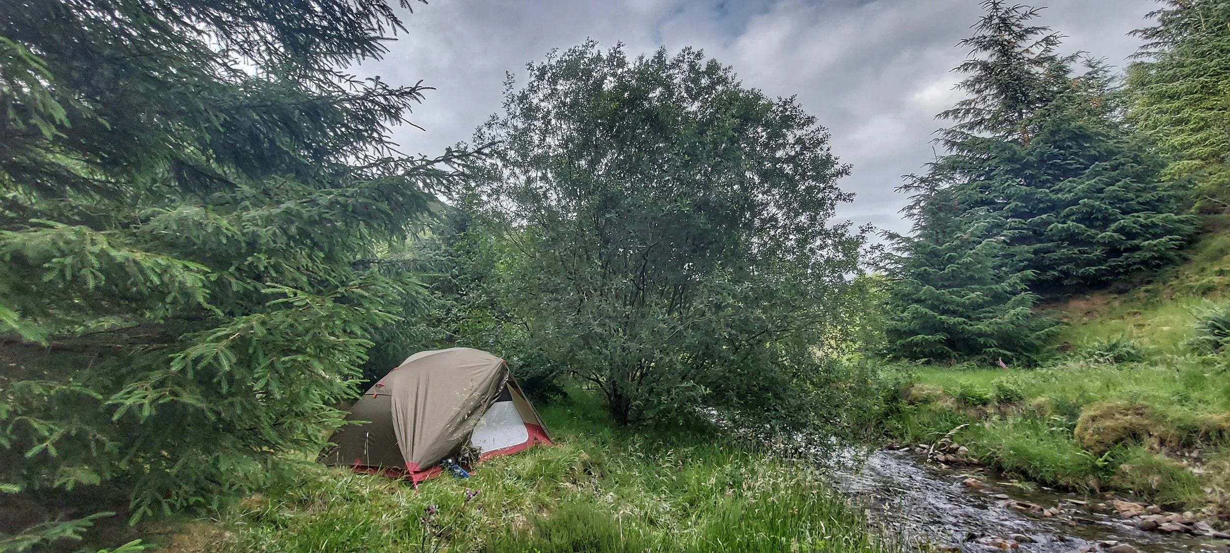 A tent beside a small river surrounded by lush green trees and grass.