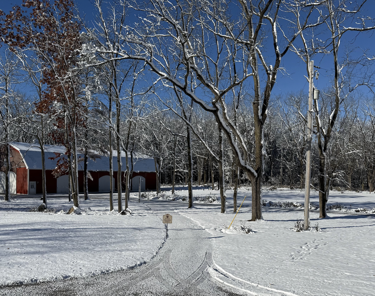 Hoosier Hospitality Meets a Michigan Wedding Weekend 💍🌾