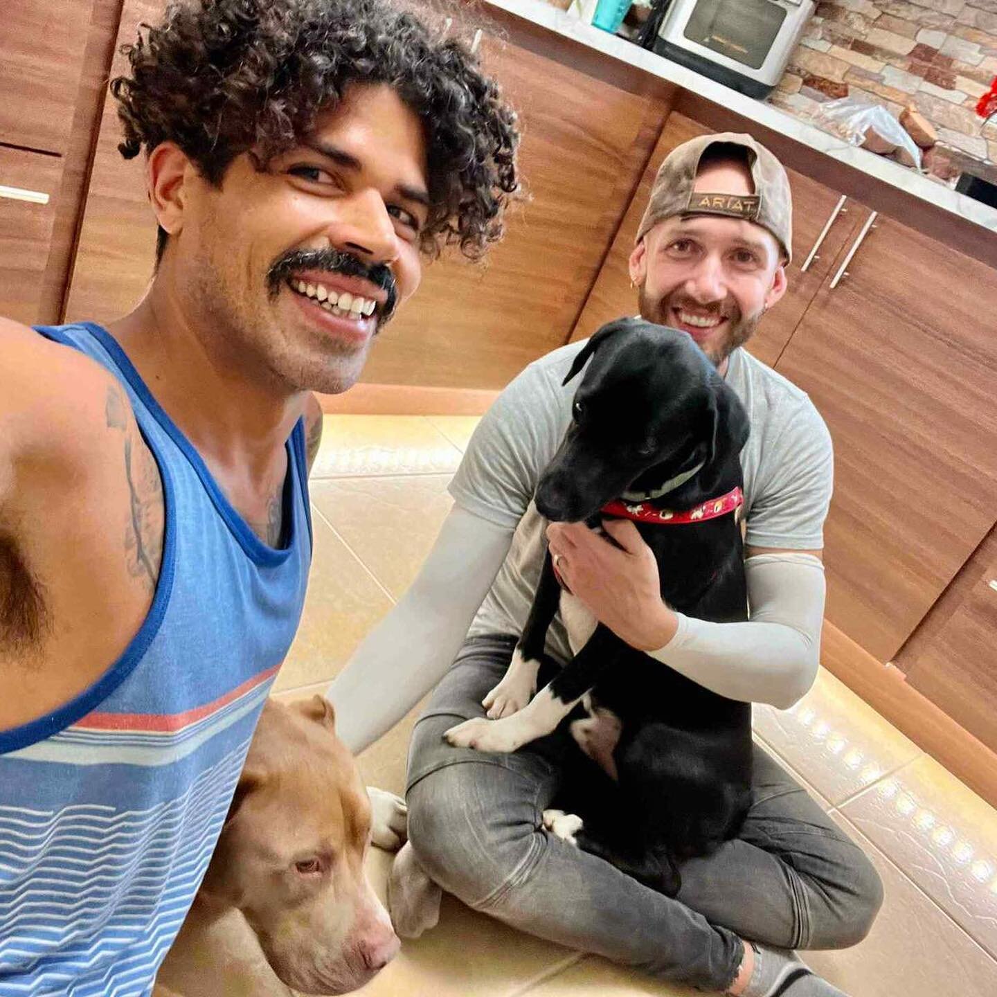 We are so excited to share that Tico has been adopted! Yesterday James and Gideon visited the shelter to find the perfect match for their family and for their dog Hercules. Tico and Hercules were an instant fit and Tico went home yesterday to his for