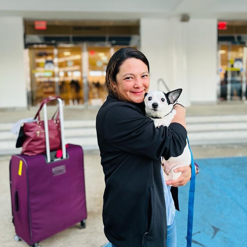 Pepe is off! He is on his way to Chicago to @animalcareleague 🐾 

Special thanks to flight angel Mei, Kira at Animal Care League, Marla at @saveafriendpuertorico for keeping him overnight last night before his flight and getting him flight ready in 