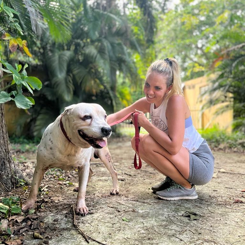 We had another visit from our friends at @moyovillage yesterday! We are always so grateful to this group and their amazing care and support of our animals and cause. If you&rsquo;re looking to take a trip to Puerto Rico w/ purpose, check out @moyovil