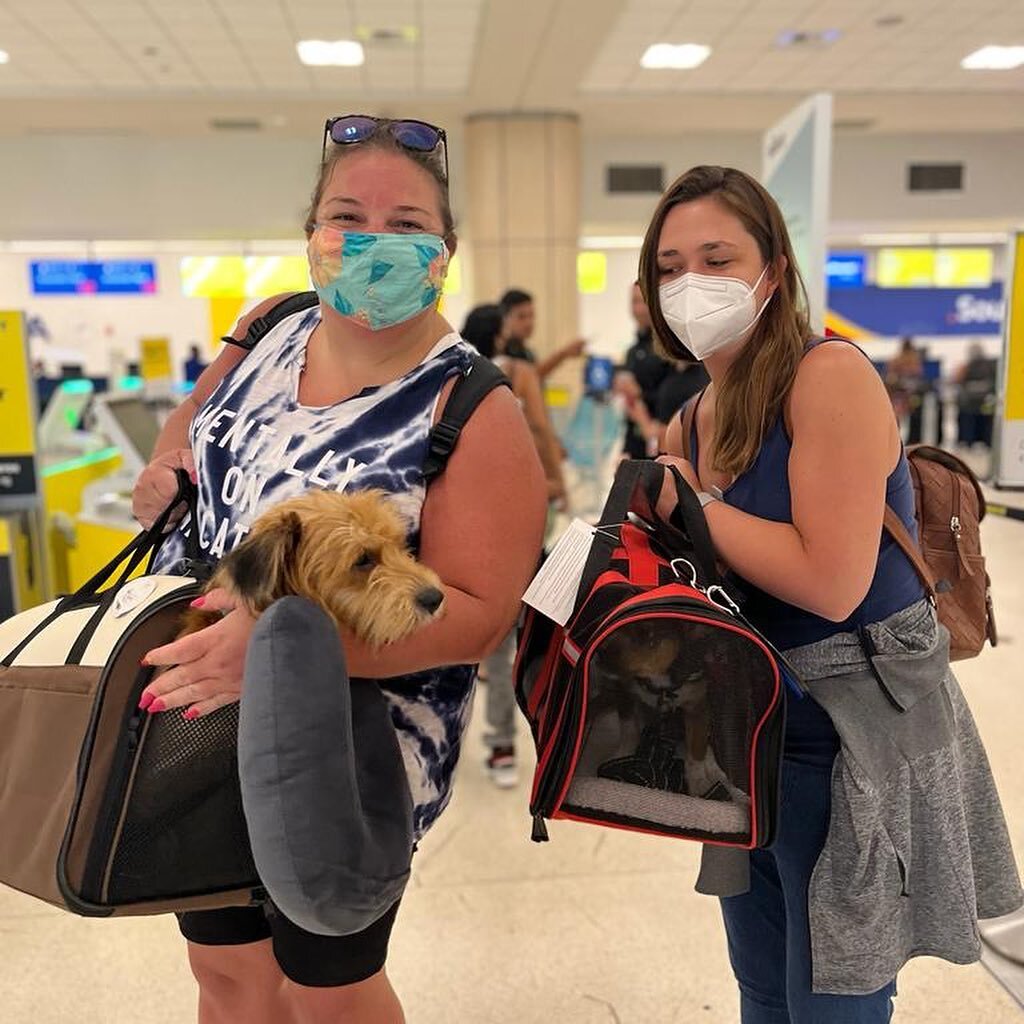 Estella and her baby, Piwi, took their freedom flight yesterday! 🐾

They had an amazing journey, including baths with @moyovillage in preparation, a lunch stop at @degree18juice , off to the airport to meet their awesome flight angels Lauren and Jen