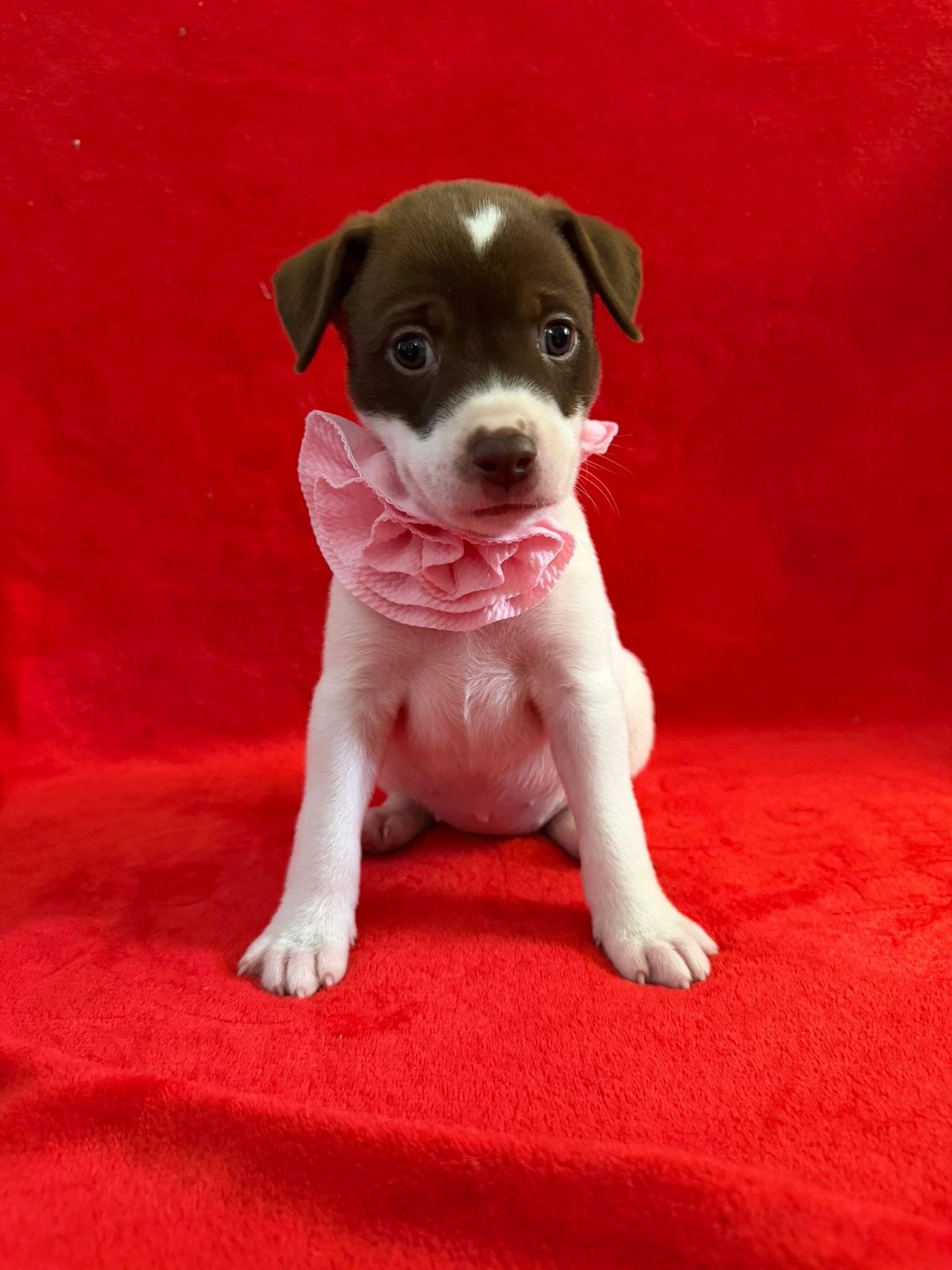 Coco