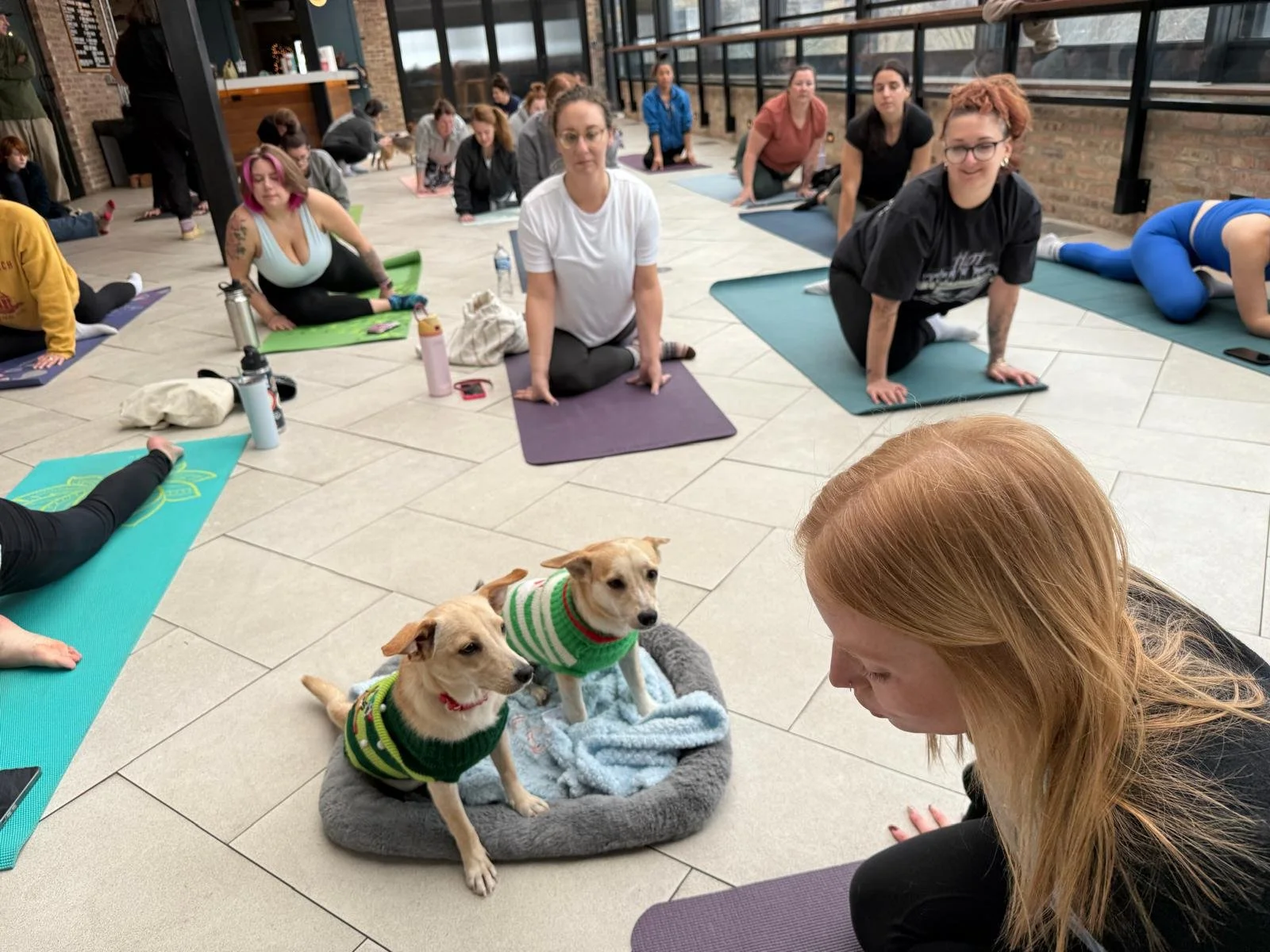 WhatsApp Image 2025-12-10 at 08.58.09.jpeg