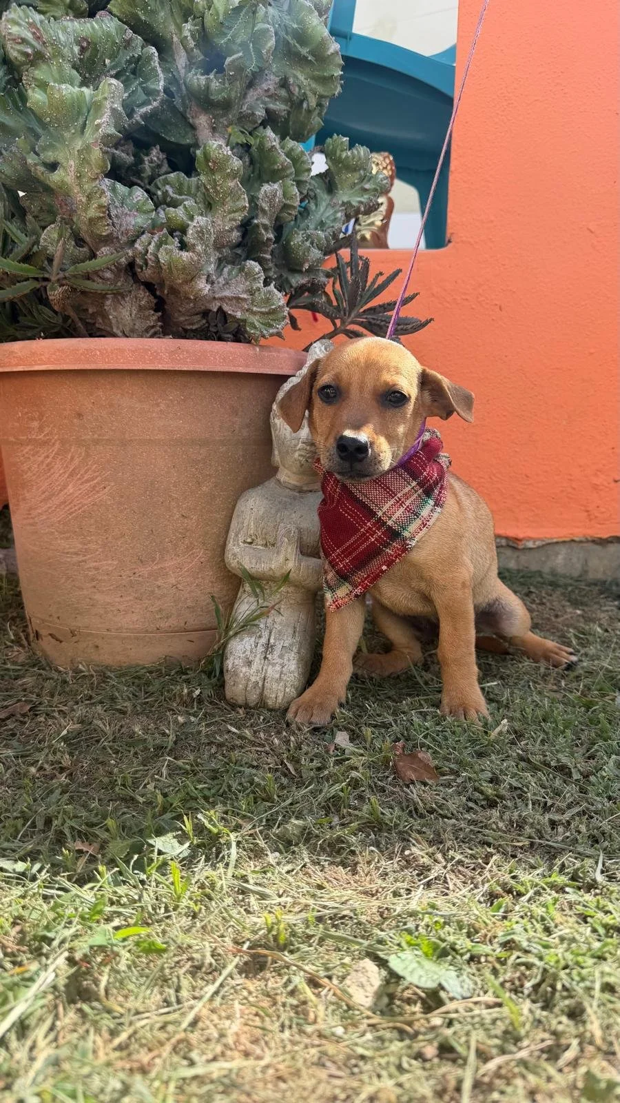 Tucker