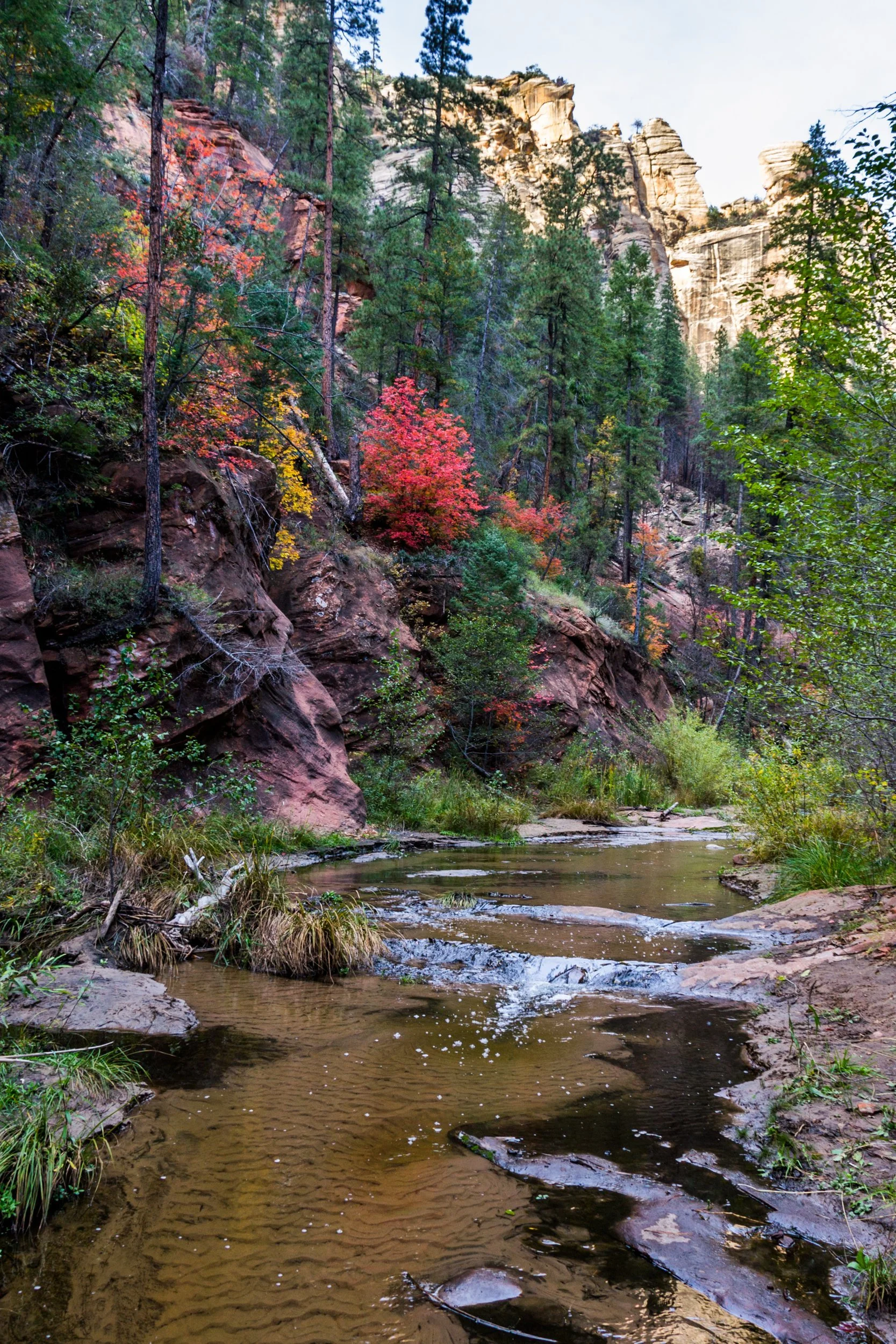 WF+Oak+Creek+Canyon-16.jpg