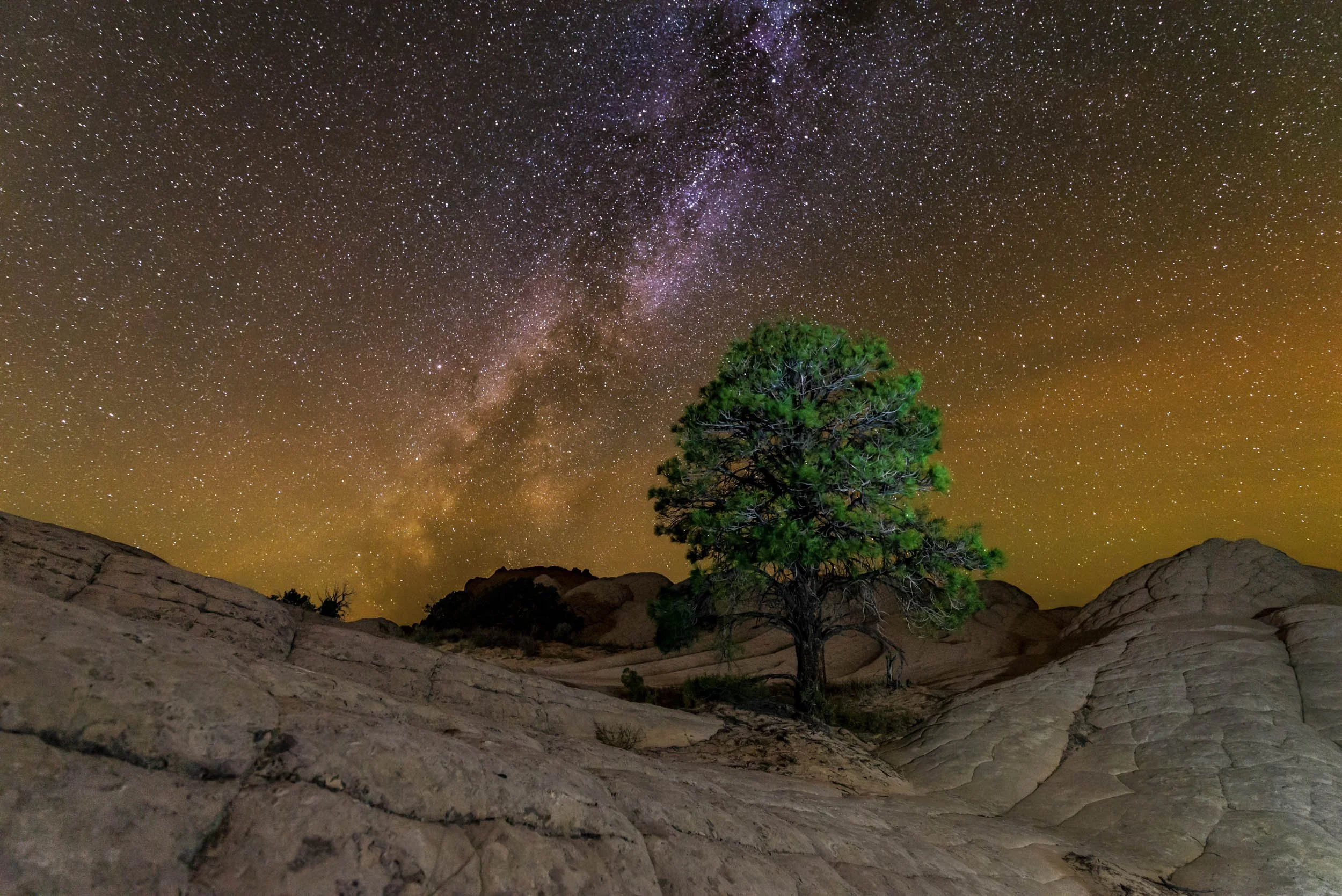 White+Pocket-125-composite-Edit-Edit-Edit.jpg