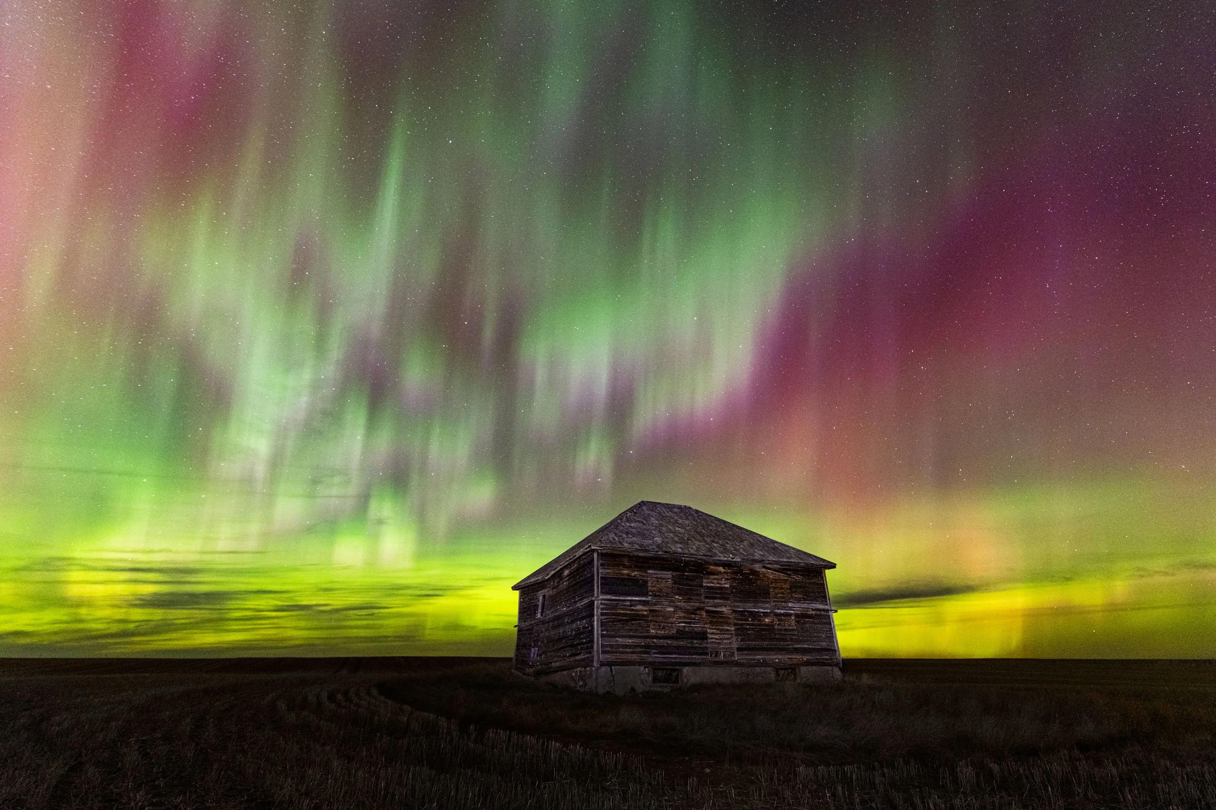 AuroraNEMT-484-Edit.jpg