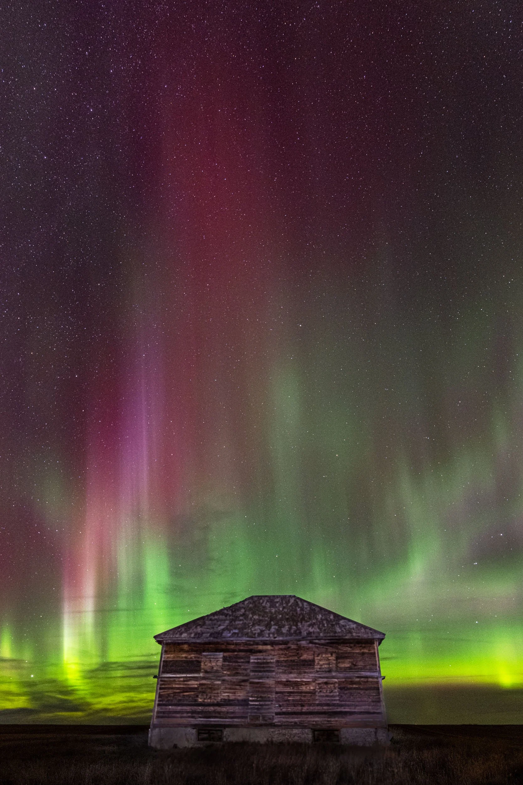 AuroraNEMT-477-Edit.jpg