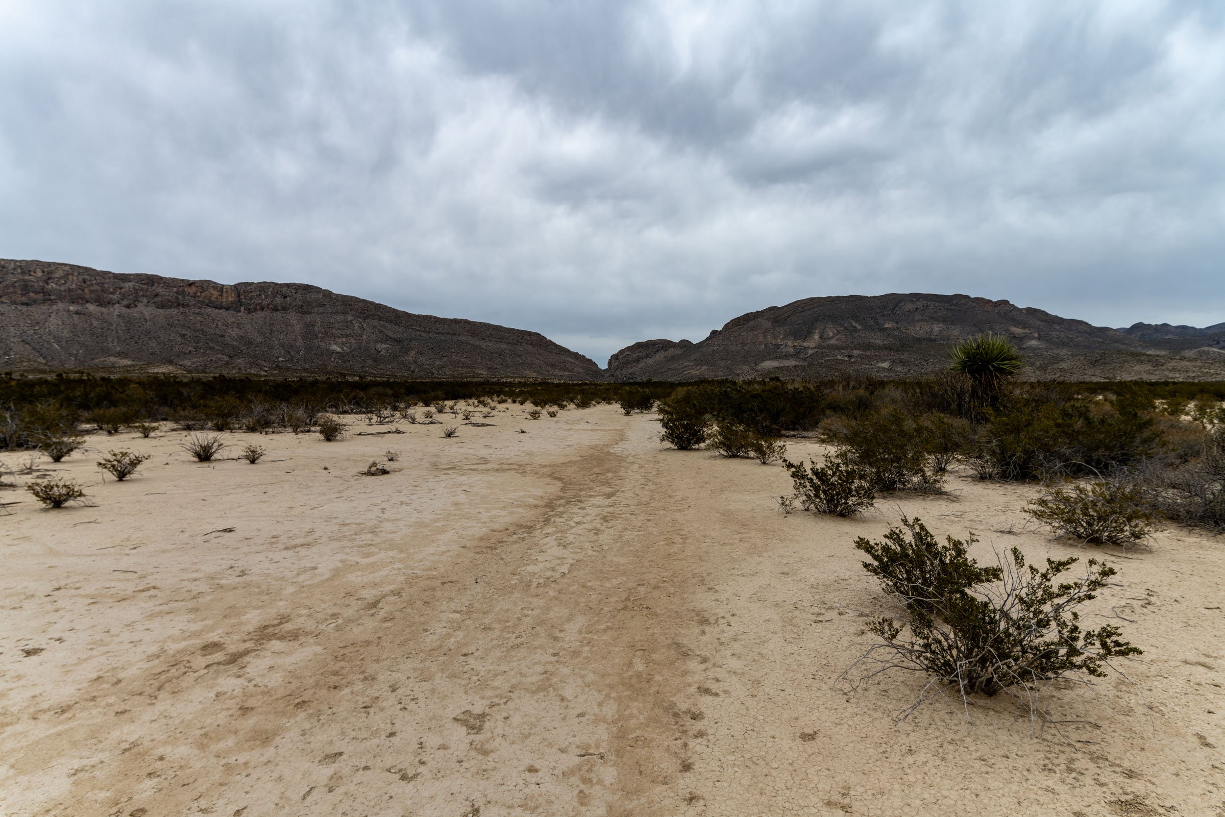 DSC_5450.jpg