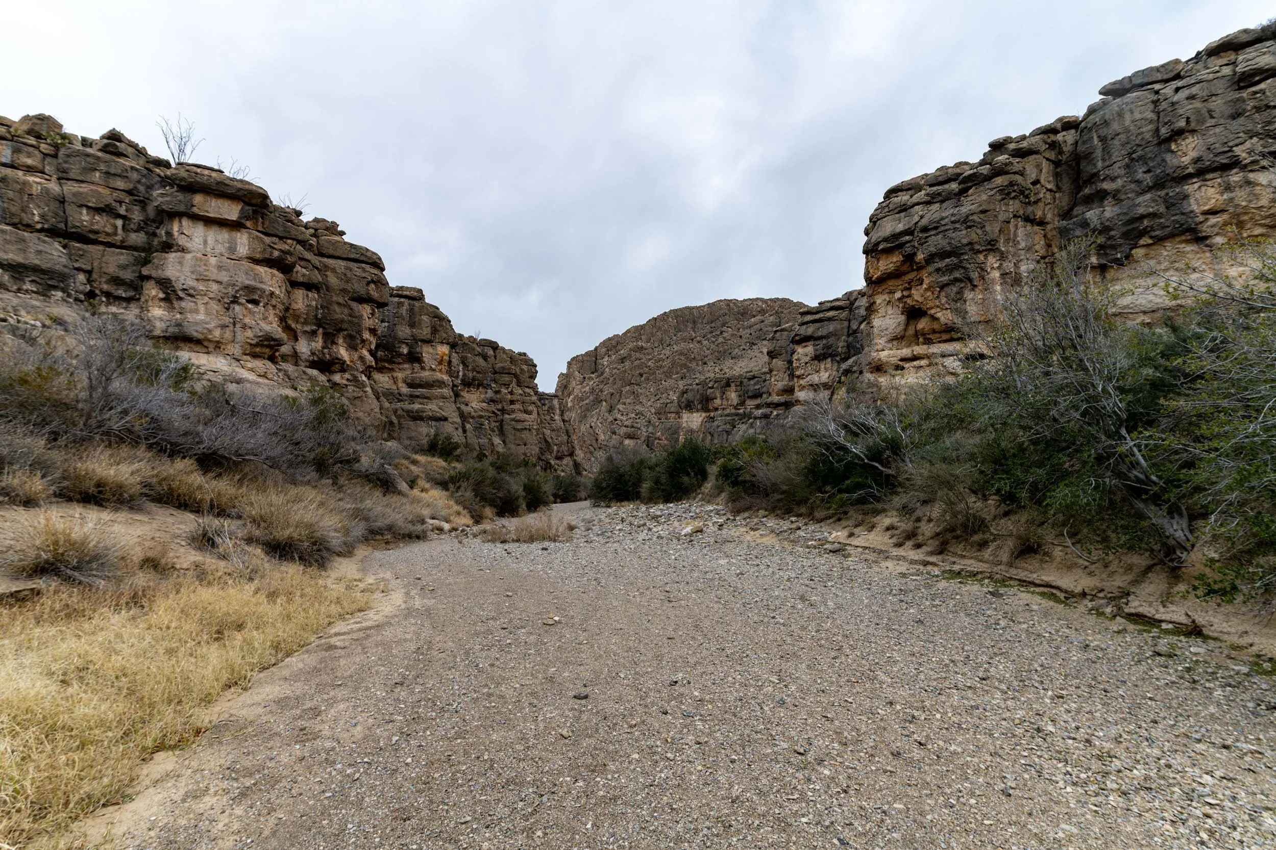 DSC_5451.jpg