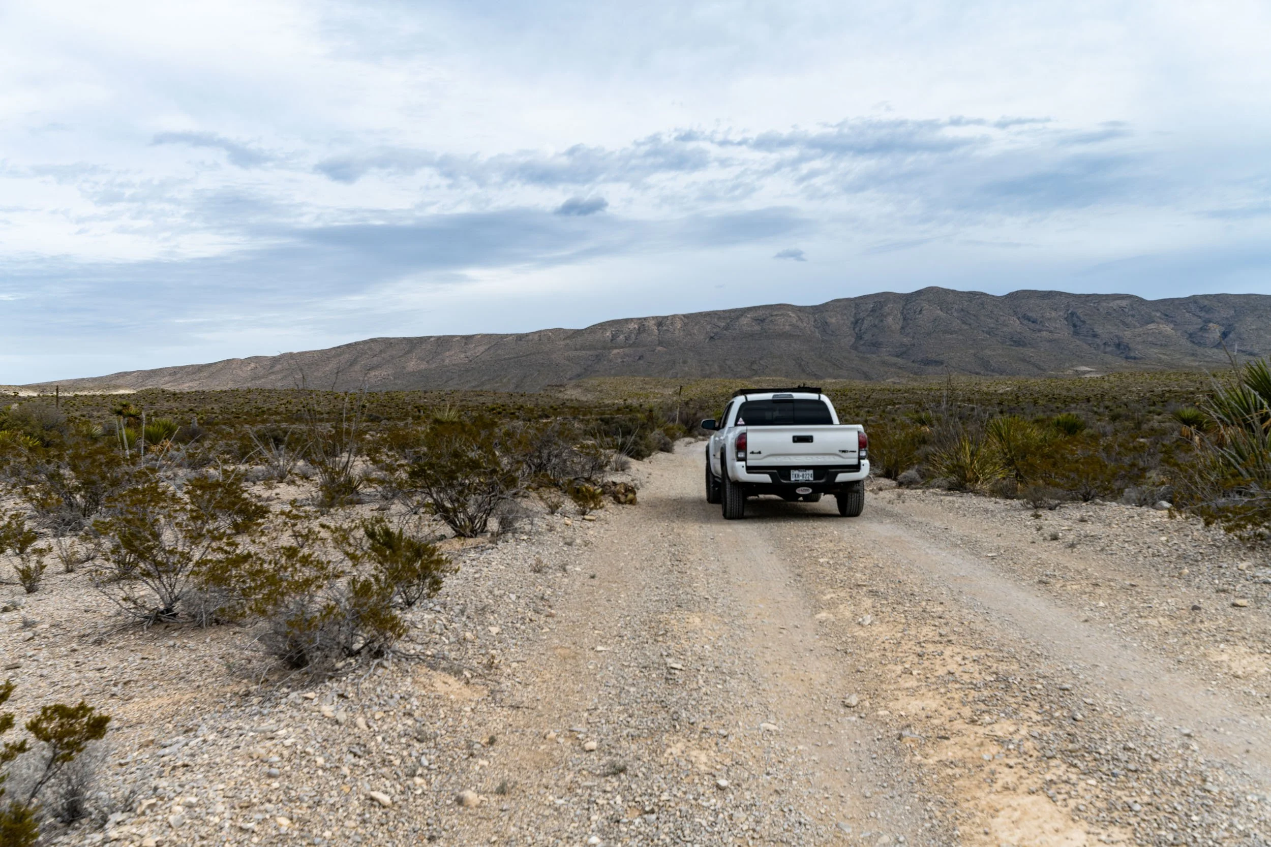 DSC_5460.jpg
