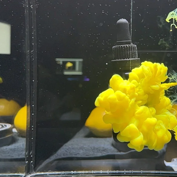 Praktick&eacute; tr&iacute;čky nebo raději poř&aacute;dn&yacute; postproces? Why not both?

@angrybeards 🍋 focen&iacute;

#žijemebackstage #mejdwithlove #mejd