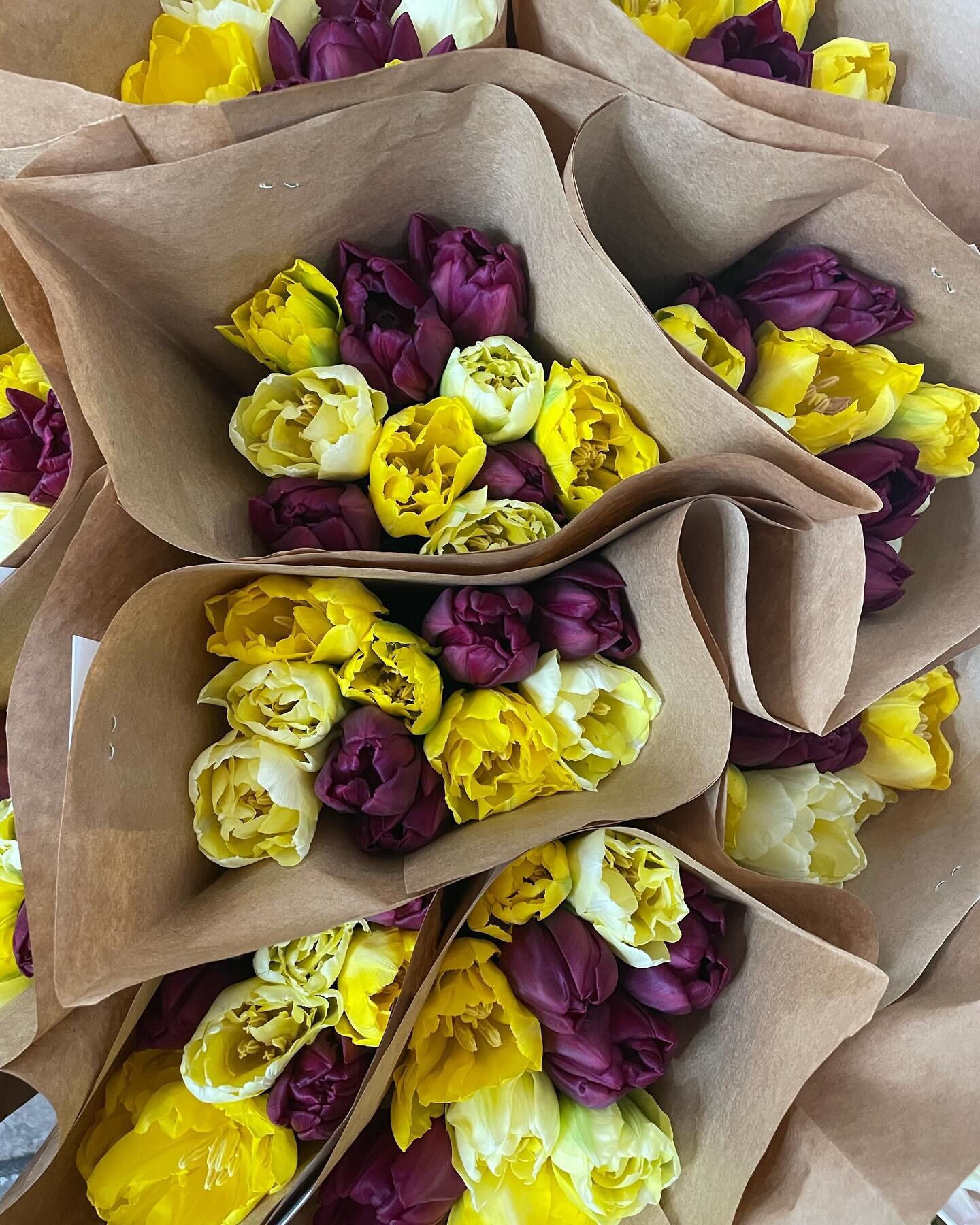 First batch of Tulip CSA bouquets went out this morning to @luckyscoffeegarage and @stillnorthbooks. Remember to keep your tulips protected in this crazy cold weather!

#uppervalleyvtnh #uppervalley #lebanonnh #hanovernh #tulipmania #tulipobsession #
