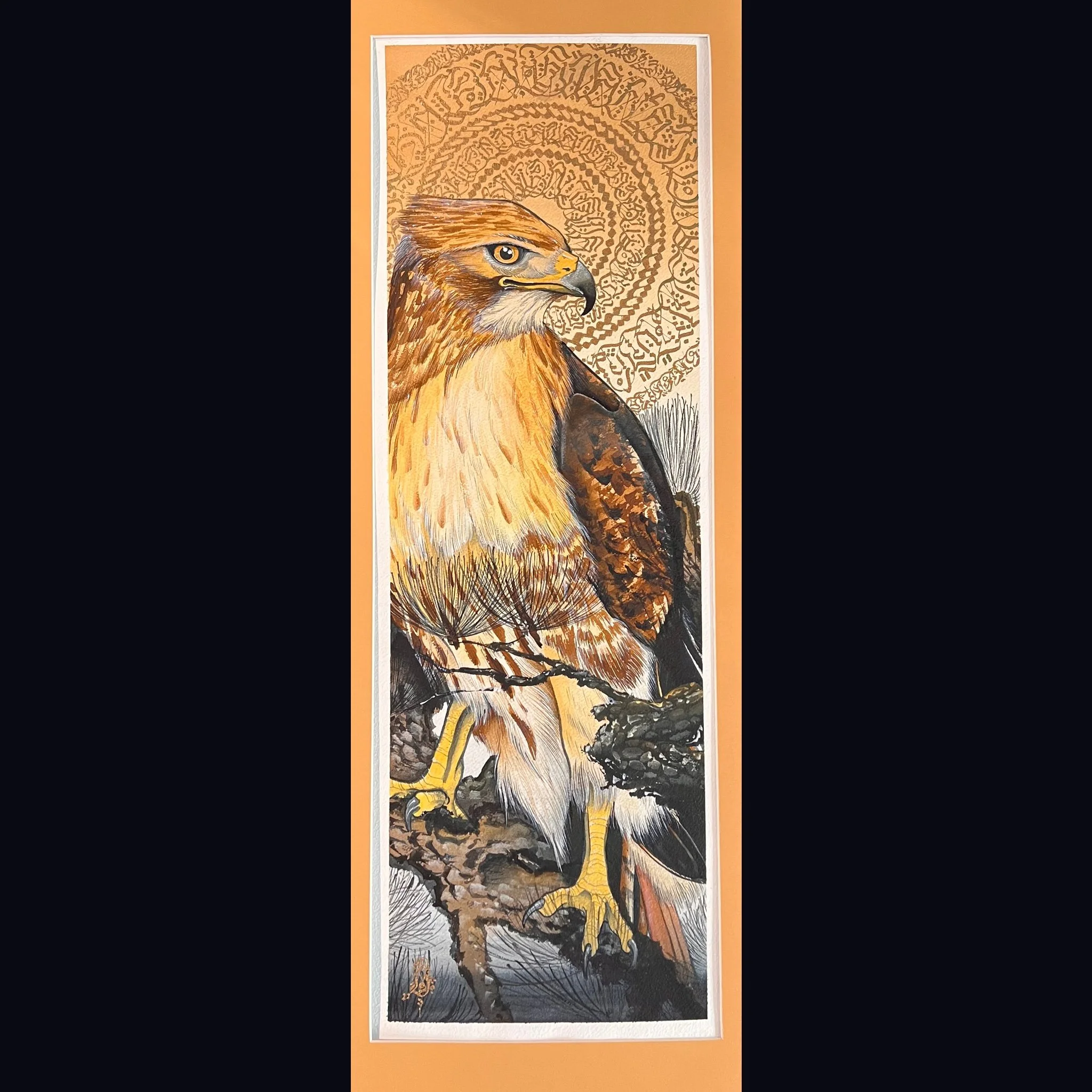 Evan ESK Wilson- Buteo Jaicensis- Original Painting