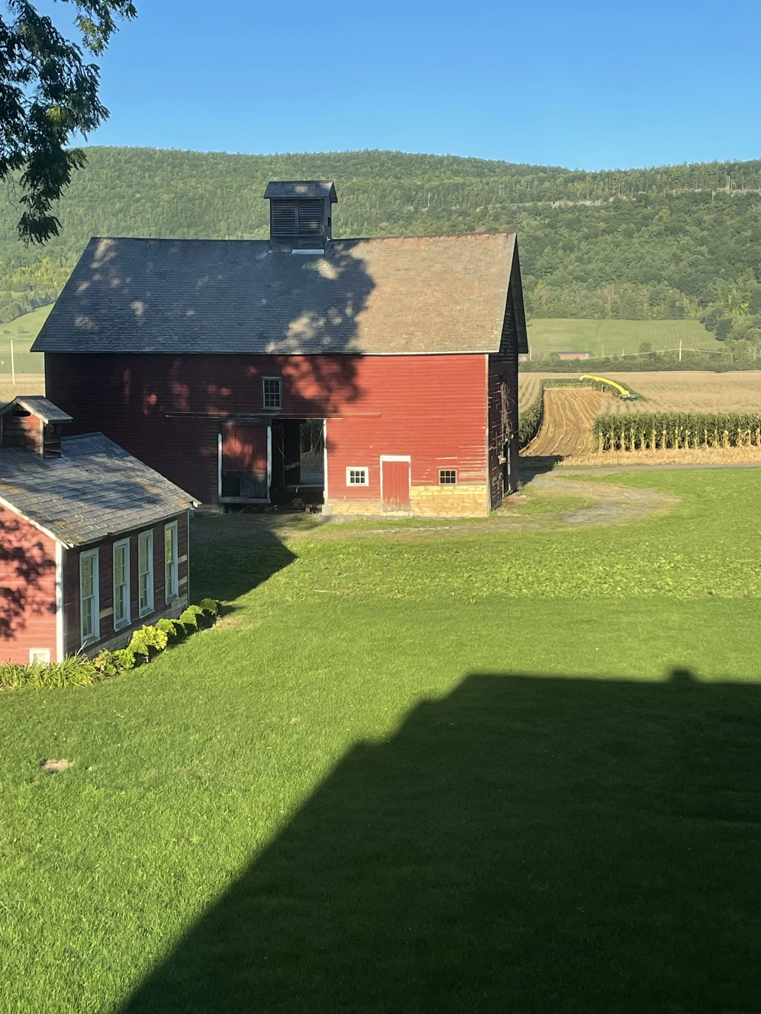 65378044686__25B931BF-7EA3-4B8F-B18B-915F0AF904BB.fullsizerender.JPG