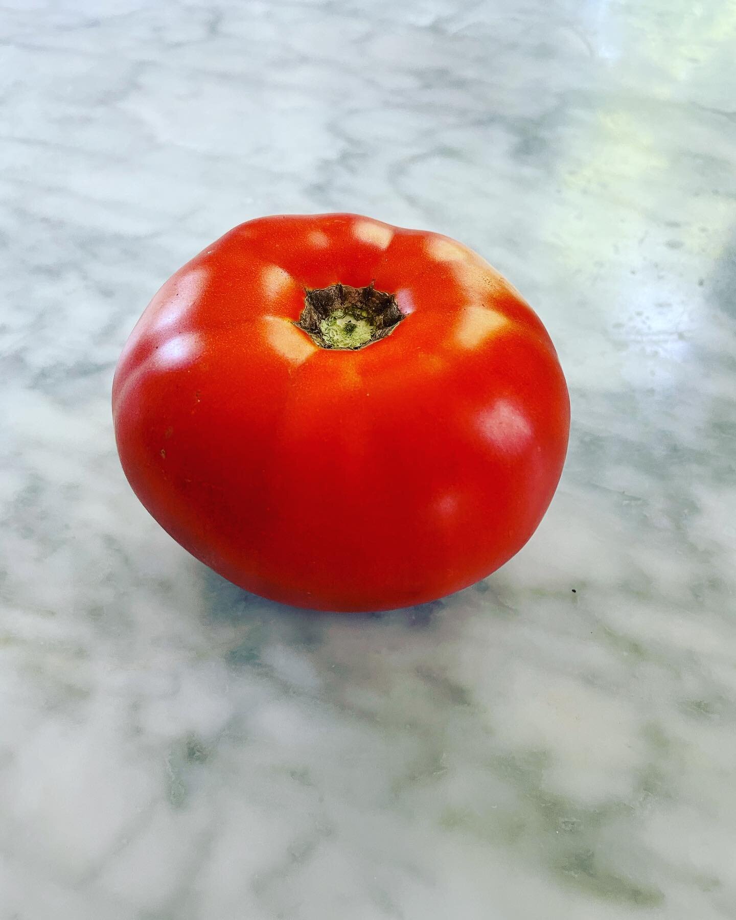 I bought heirloom plants but the first of the crop looks like a grocery store variety.  Come see me and have a tomato sandwich. www.airbnb.com/p/Beekmanmansion  #heirloomtomatoes #homegrowntomatoes americancountryhouse #cottagecore #upstateny #bedand