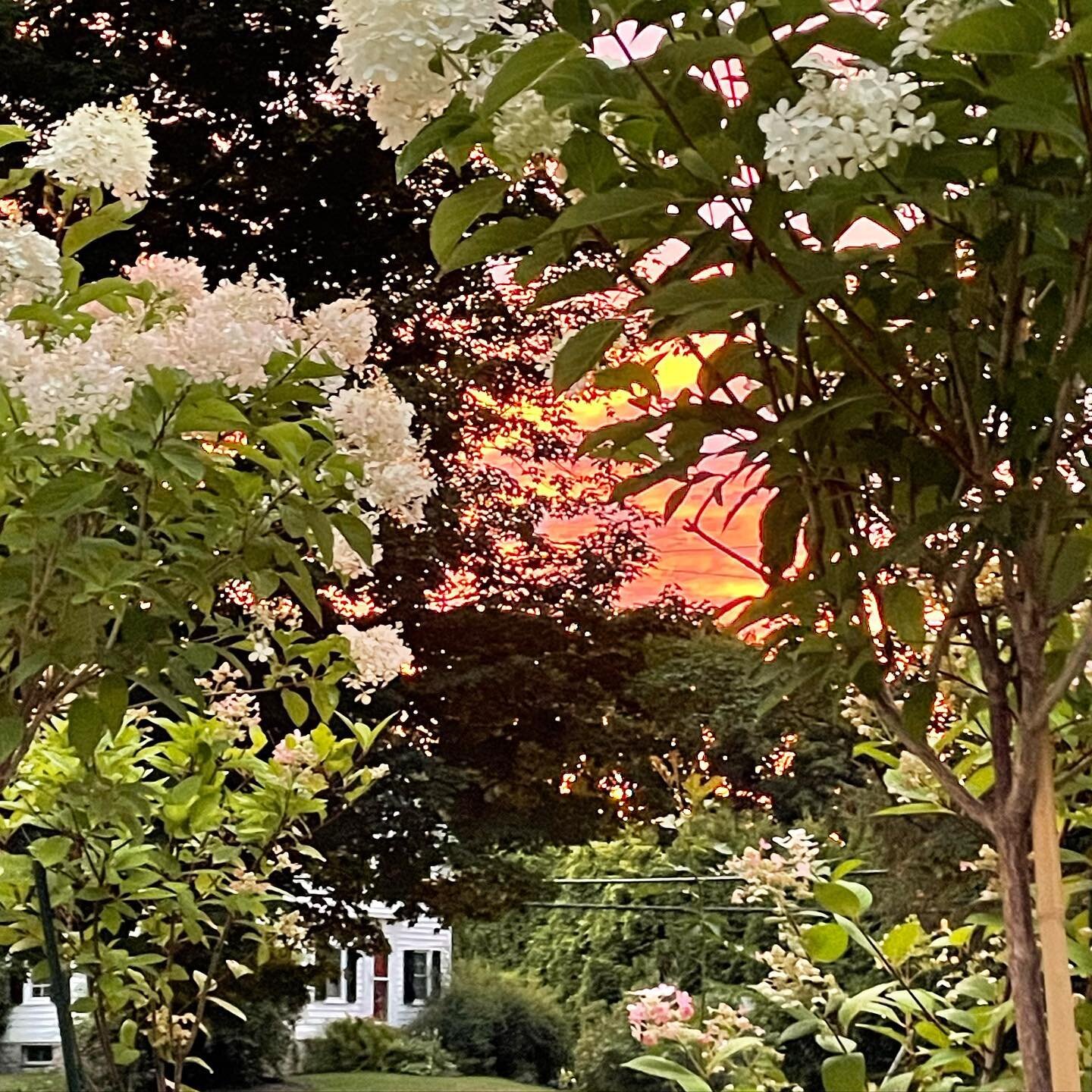 No filter sunset. Come see me: www.airbnb.com/p/Beekmanmansion  #nofilter  #sunsets #americancountryhouse #cottagecore #upstateny #bedandbreakfast #catskills #greekrevival #airbnb #airbnbsuperhost