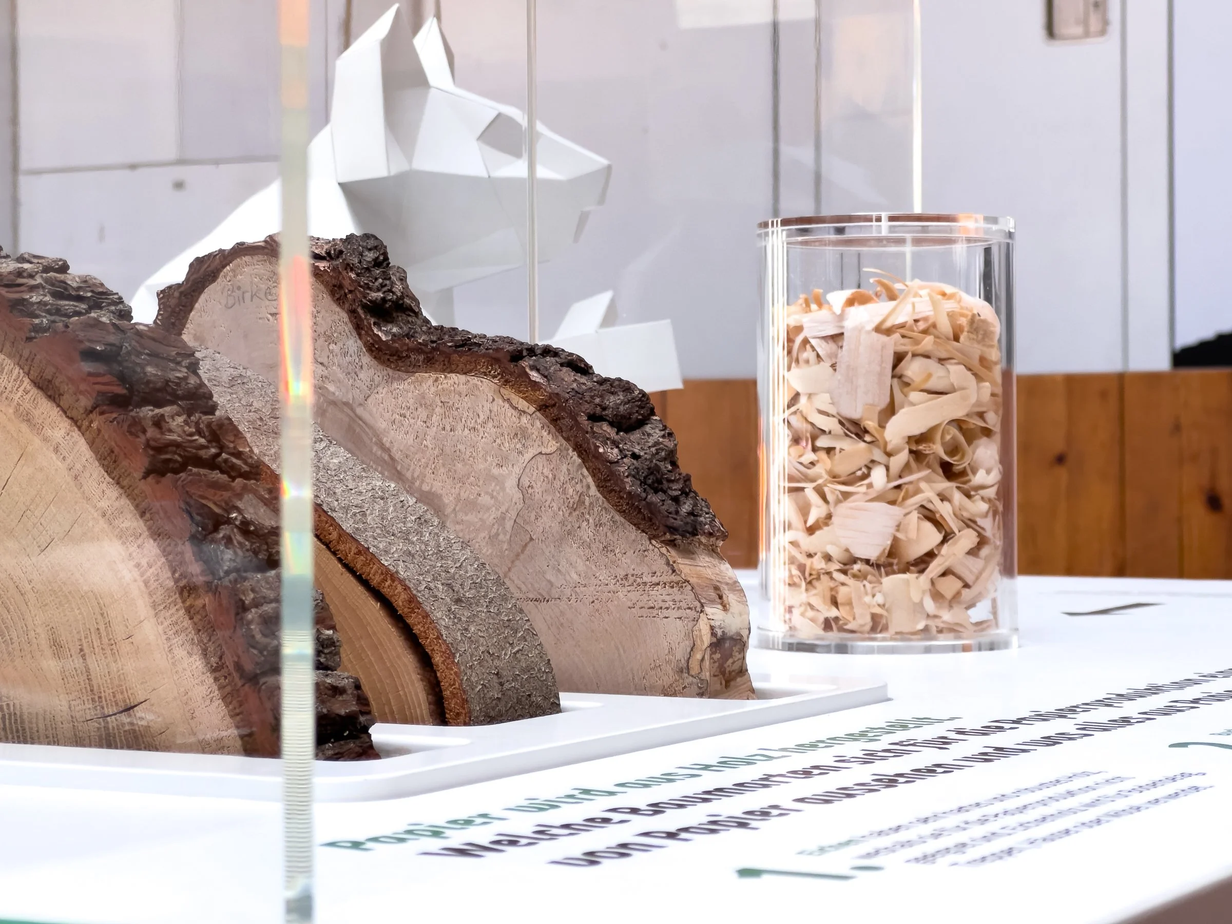Wanderausstellung "Trashbusters" der NAJU