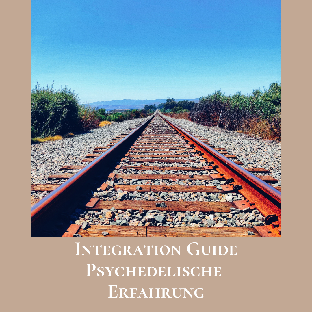 Guide Covers Integration DE.png