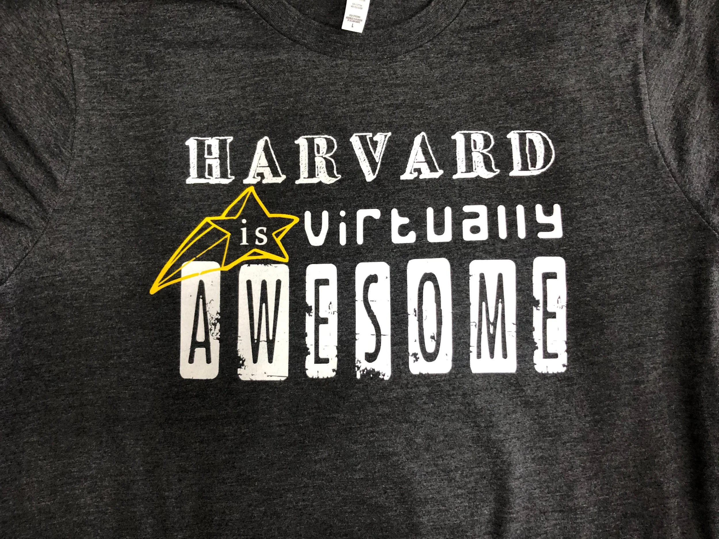 Harvard Virtual.jpg