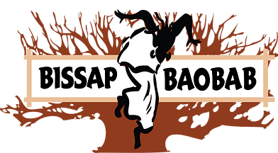 Bissap Baobab Village