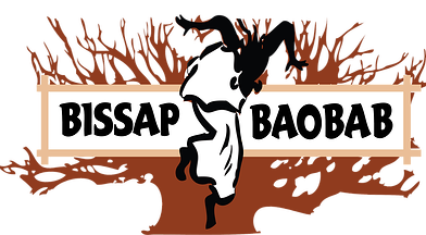 Bissap Baobab Village