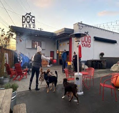 dog bar.jpg