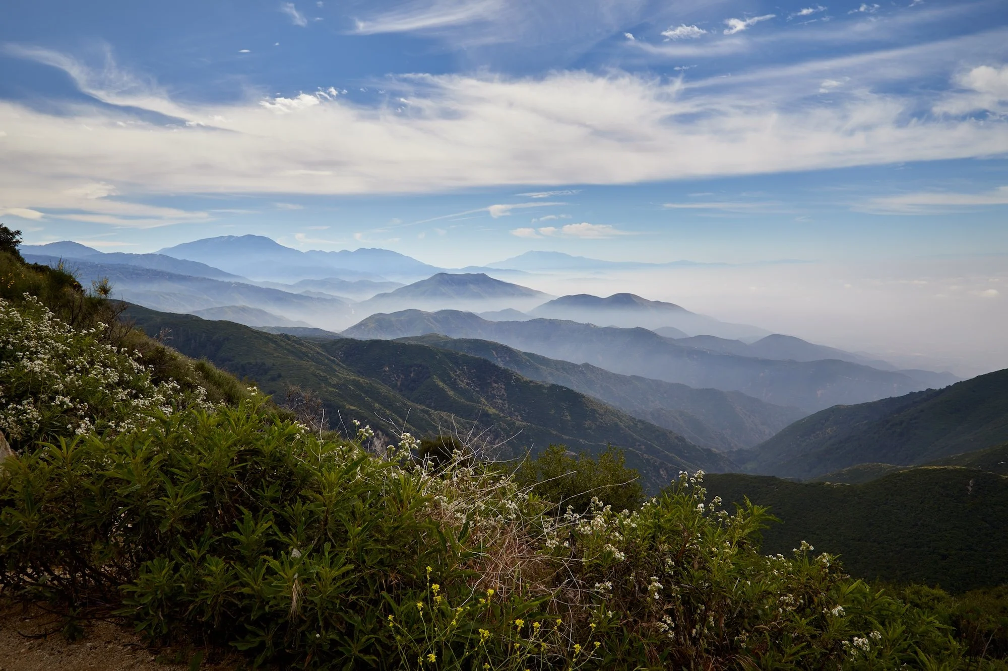 AdobeStock_332731746.jpeg