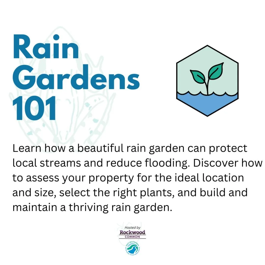Rain Gardens 101 Workshop - Hosted by Rockwood Common