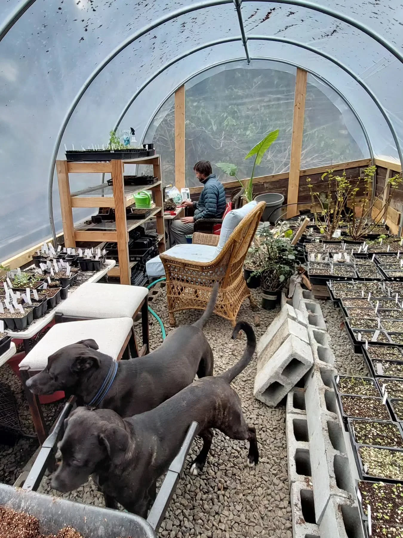 Inspectors Dodo and Boythorn are keeping an eye on things...mostly on the things that are fragrant with fertilizer.