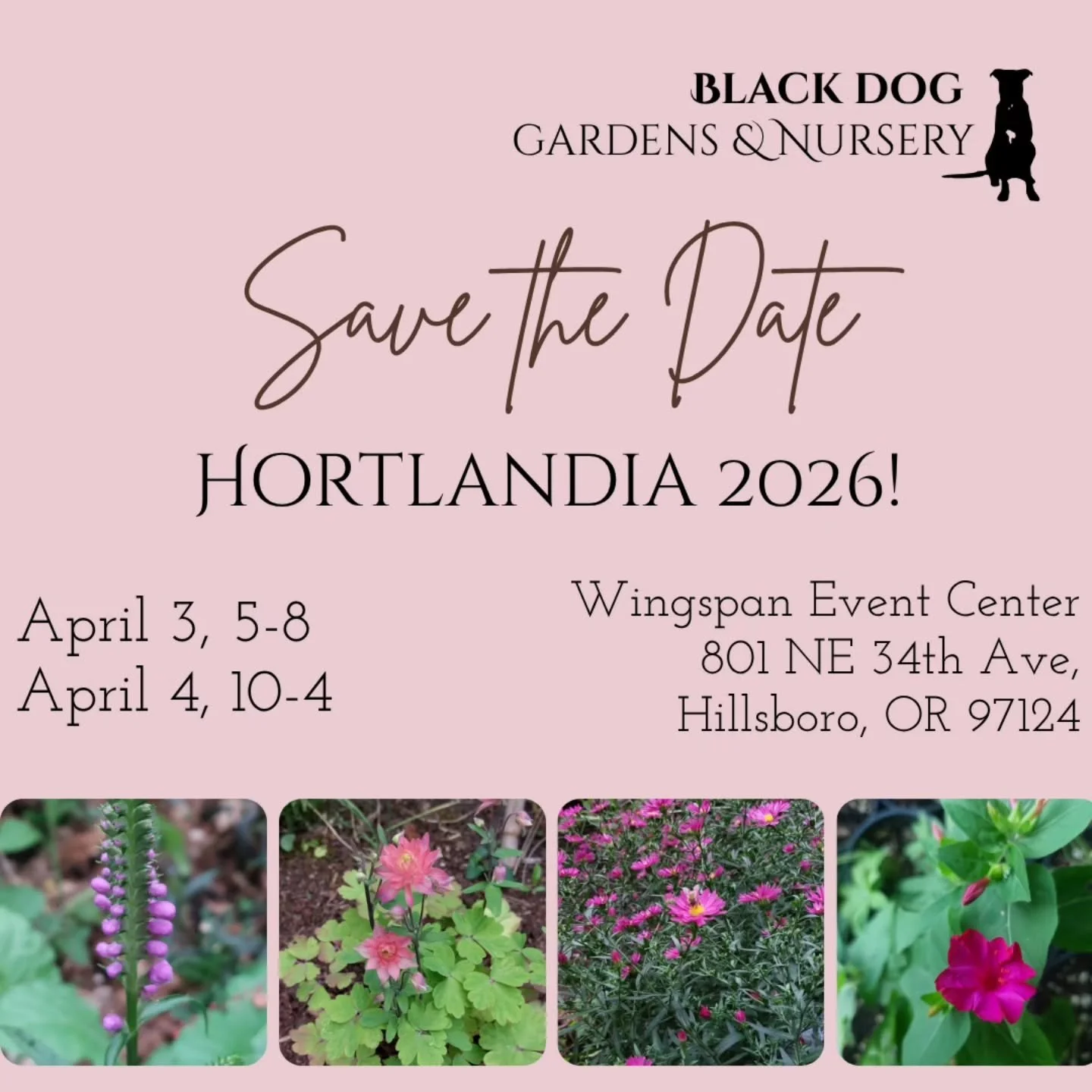 We are so excited to be returning as a vendor in the @hardyplantsocietyoregon Hortlandia plant sale extravaganza. 

Last year's Hortlandia was our first big plant show and the experience far exceeded our expectations. There is unique joy to having so