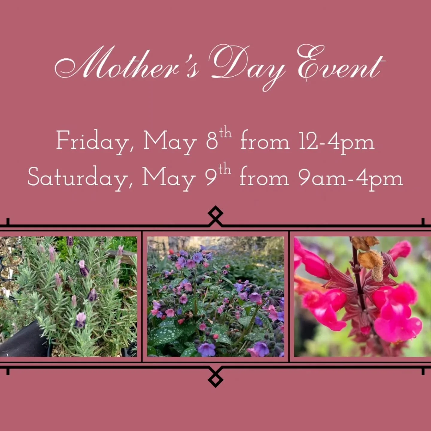 Black Dog will be holding a special Mother's Day open event on Friday, May 8th from 12pm-4pm and Saturday, May 9th from 9am-4pm. We'll be closed Sunday to celebrate with our mothers.

We are primarily growers rather than retailers, and due to the dem