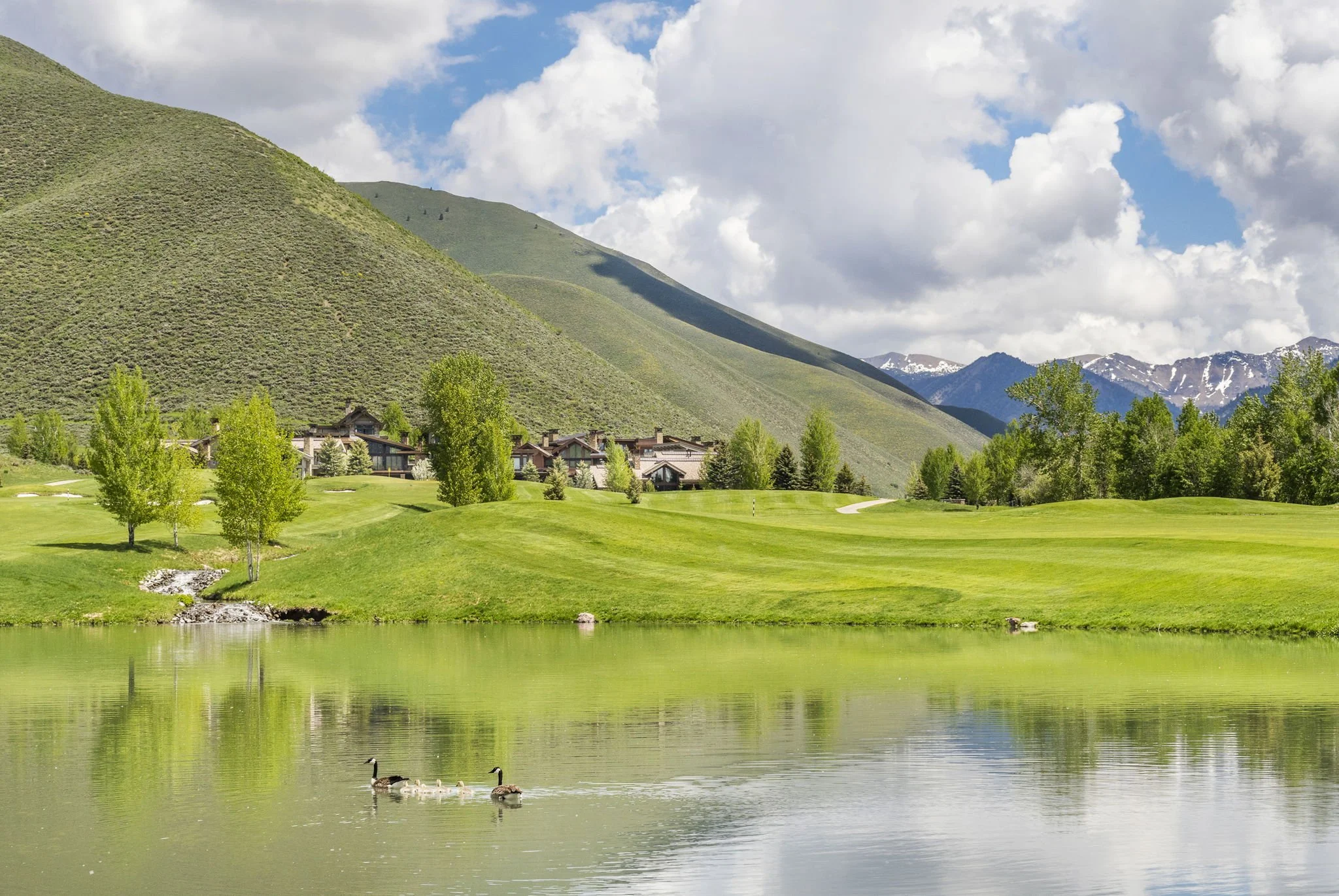 51-web-or-mls-65-print-140-Close-Du-Val-39.jpg